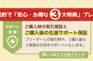 マンチカン・ブリーダーズ 特典2